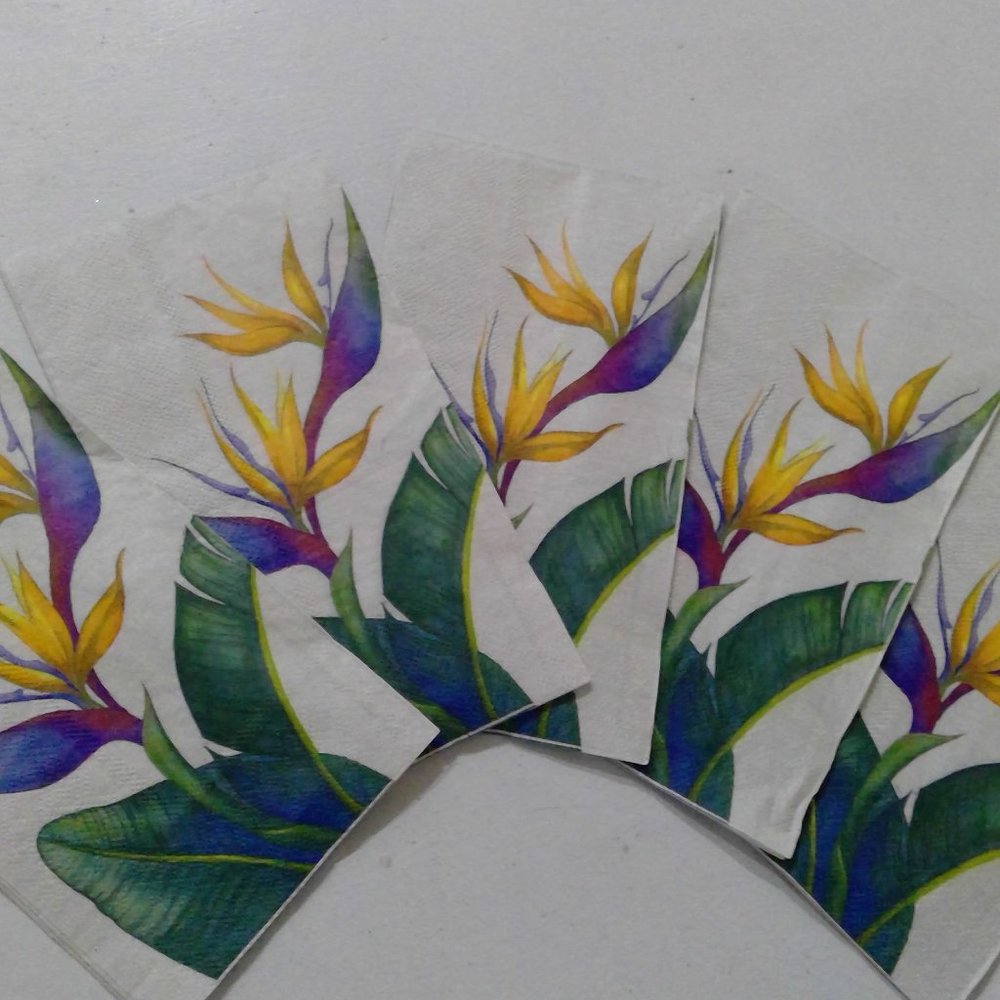 5 Bird of Paradise Guest towel napkins (DECOUPAGE) (CRAFTS)